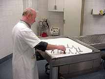 Obductie-assistent